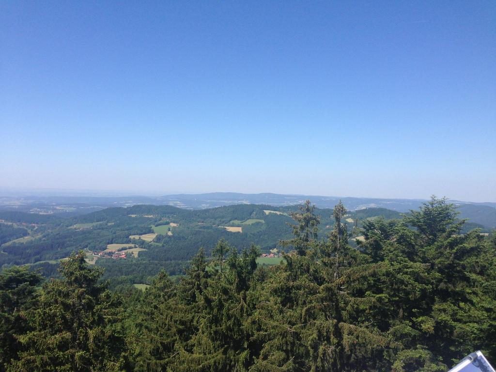Flat With Swimming Pool In Prackenbach Viechtach